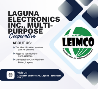 Laguna Electronics Inc