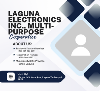 Laguna Electronics Inc